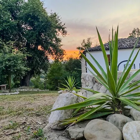 아파트 Maja E Ermes Arsita